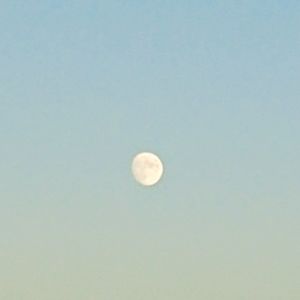 ❤ it make an offer!